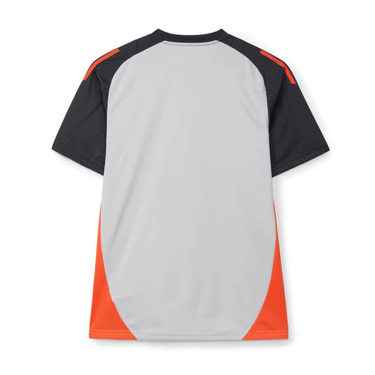 Benfica 2024/25 Training Jersey - Gray
