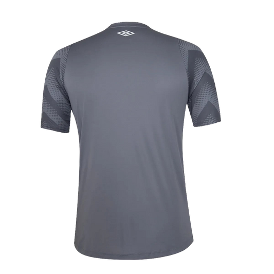Santos 2024/25 Goalkeeper Jersey - Gray - Fan Version
