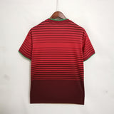 Portugal 2014 Home Jersey – Retro Version