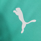 Palmeiras 2019/20 Third Jersey – Retro Version