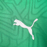 Palmeiras 2025/26 Pre – Match Training Top – Player Version