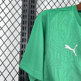 Palmeiras 2025/26 Pre – Match Training Top – Player Version