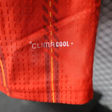 Spain 2026 Home Jersey – Player Version – Red/Navy Vertical Stripes