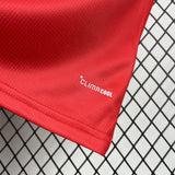 Wales 2026 Home Jersey – Green/White Chest Band