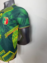 Mali 2026 Away Jersey – Player Version