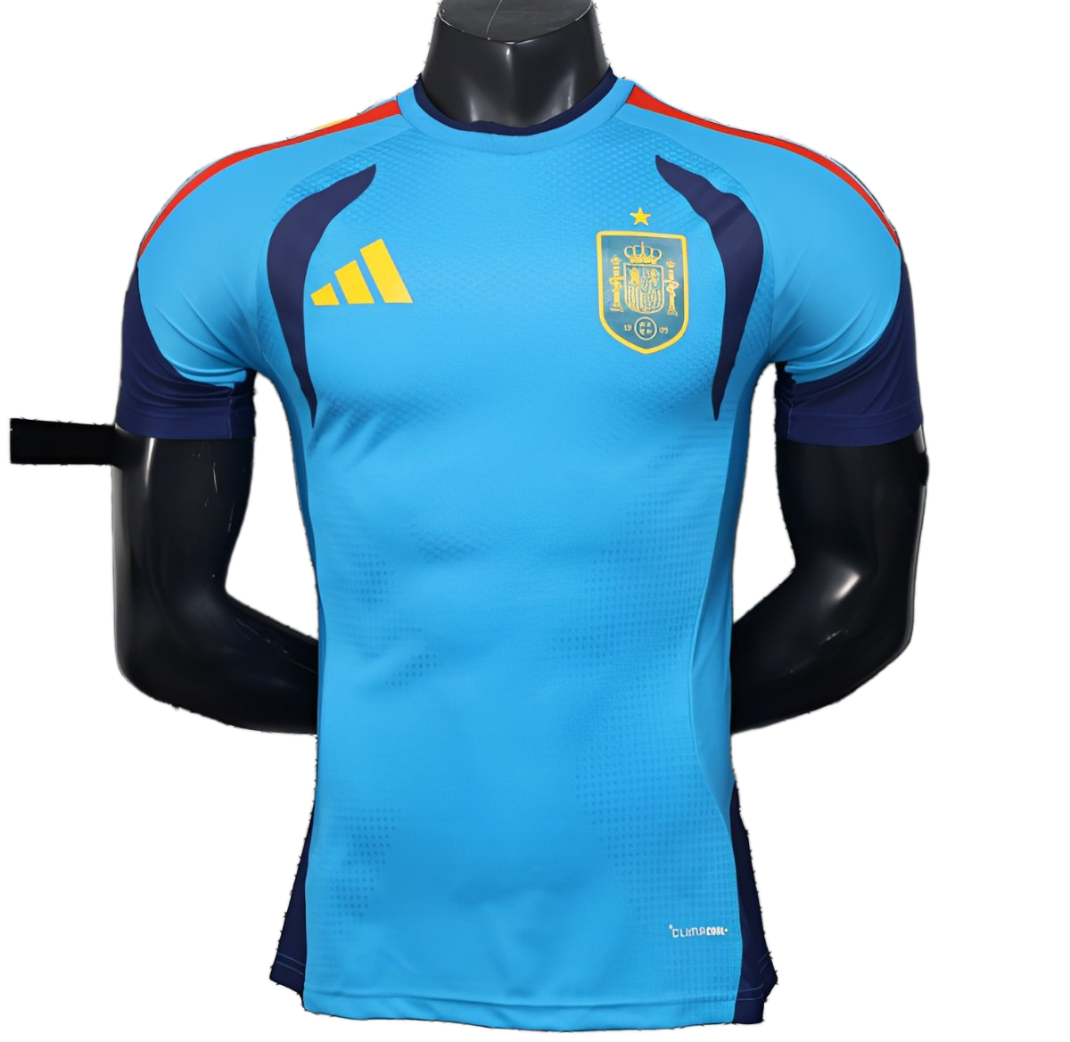 Spain 2026 Training Jersey – Player Version – Blue – Sky