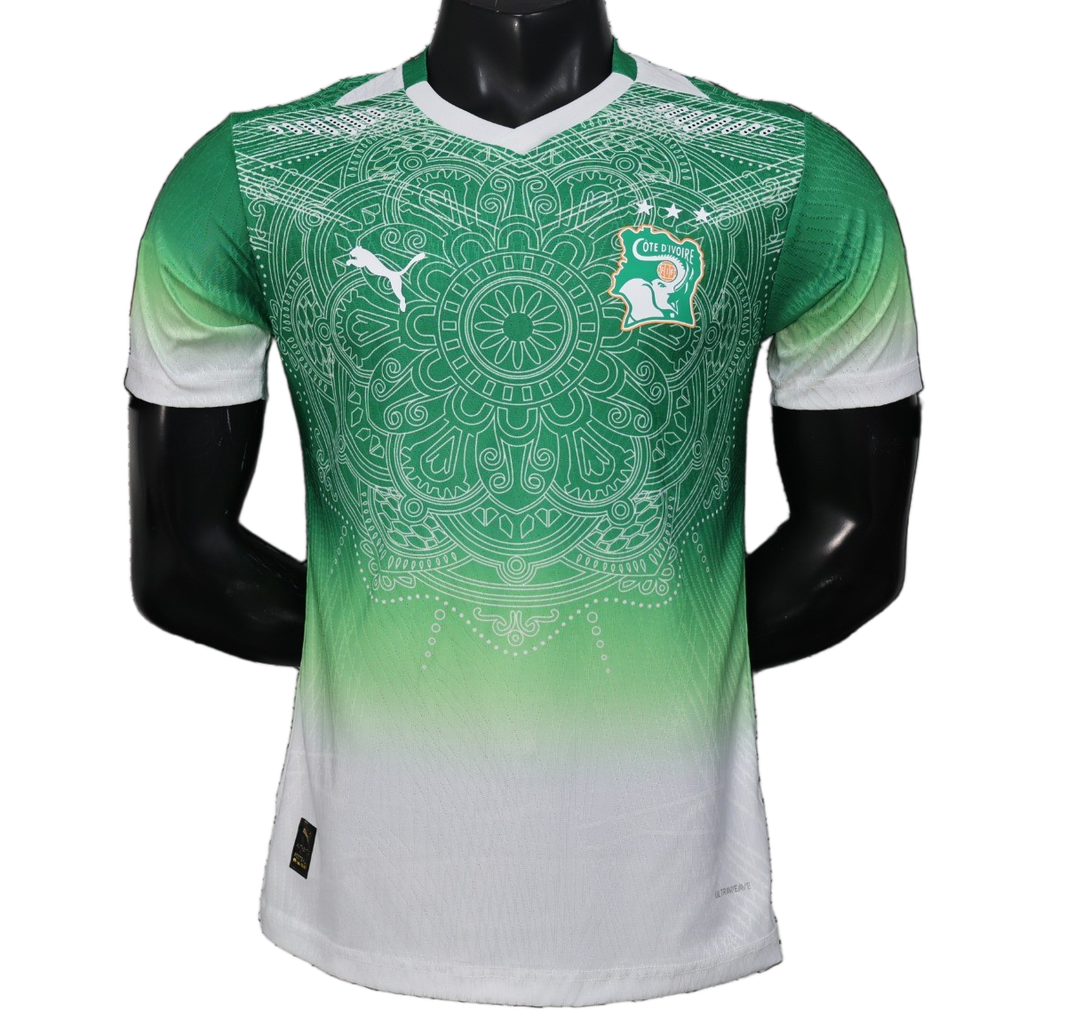 Ivory Coast 2026 Jersey – Player Version – Special Edition – Green