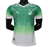 Ivory Coast 2026 Jersey – Player Version – Special Edition – Green