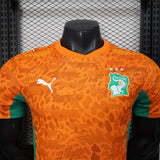Ivory Coast 2026 Home Jersey – Player Version – Orange Tonal Pattern