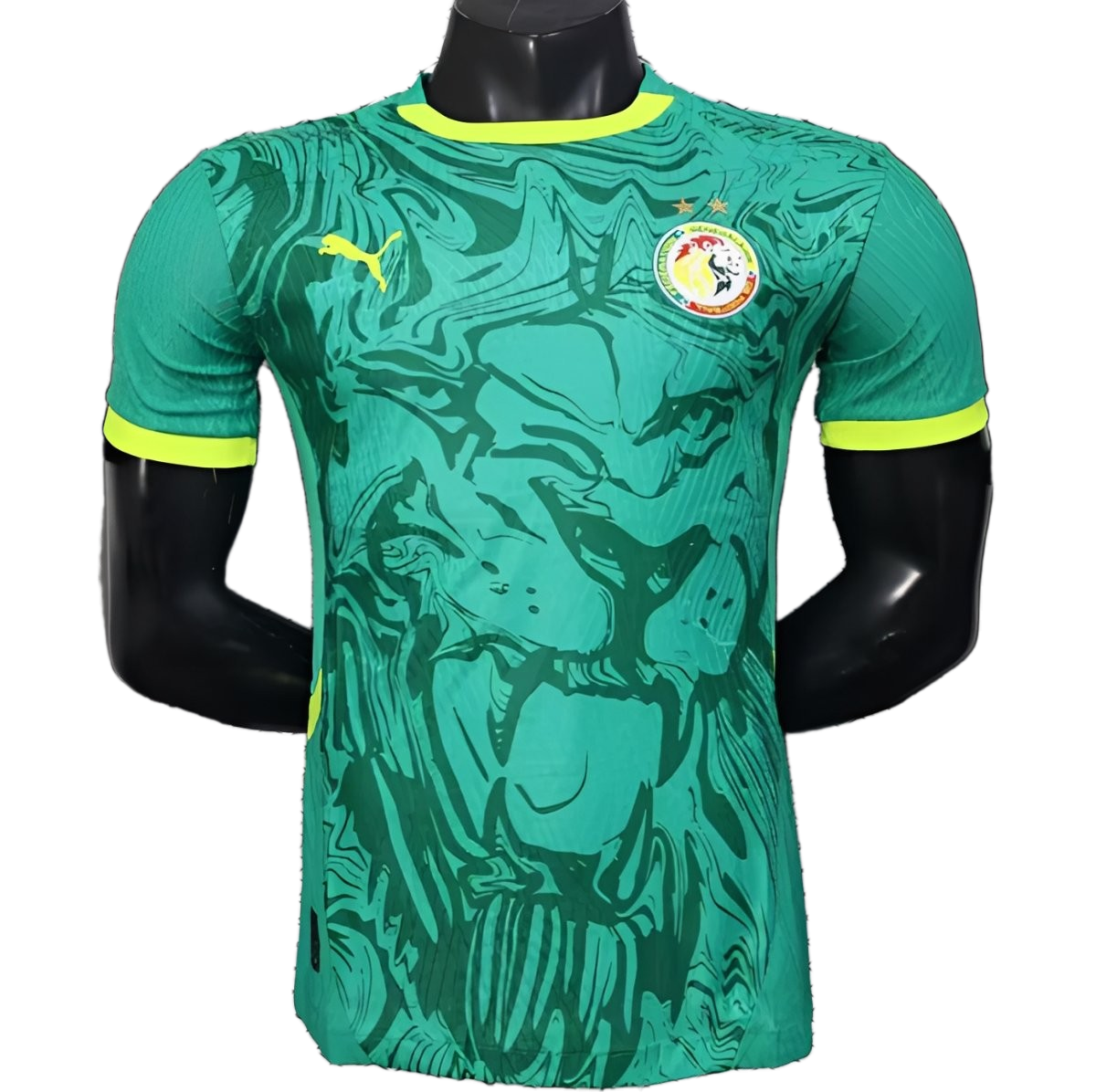 Senegal 2026 Away Jersey – Player Version – Special Edition – Green