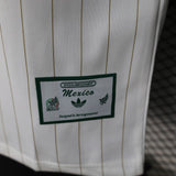 Mexico 2026 Jersey – Player Version – White – Terrace Icons