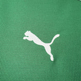 Palmeiras 2026/27 Home Jersey