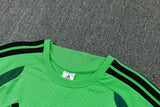 Mexico 2026/27 Adult Kit – Green