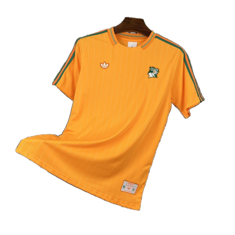 Cameroon 2026 Jersey