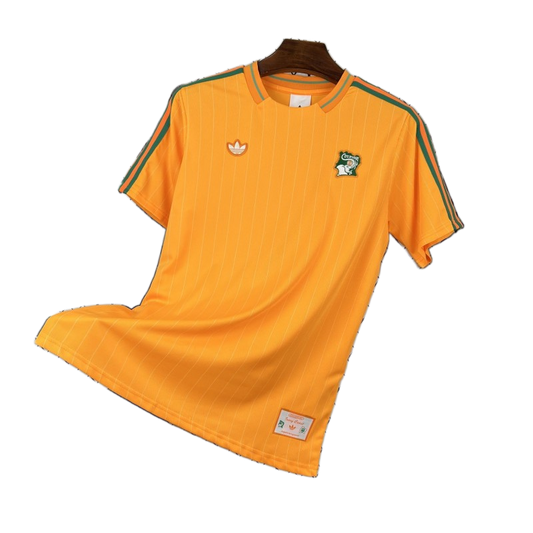 Cameroon 2026 Jersey