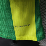 Brazil 2026 Jersey – Player Version – Special Edition – Green/Yellow – Vertical Stripe