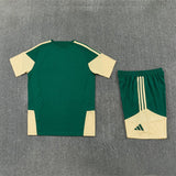 Real Madrid 2026 Adult Kit – Green – Cream