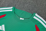 Algeria 2026/27 Adult Kit – Green