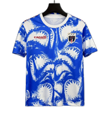 Cape Verde 2026 Training Jersey – White/Blue