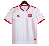 Denmark 2026 Away Jersey
