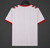 Denmark 2026 Away Jersey