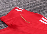 Liverpool 2010 Home Kids Kit – Retro Version