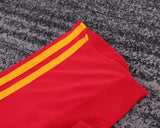 Spain 2008 Home Kids Kit – Retro Version