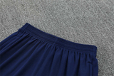 Tottenham Training Shorts 2025/26
