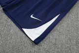 Tottenham Training Shorts 2025/26