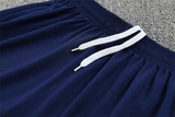 Tottenham Training Shorts 2025/26