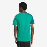 North Ireland World Cup 2026 Jersey - Player Version