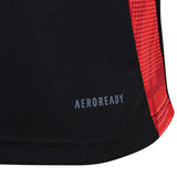 Internacional 2025/26 Training Jersey - Black - Fan Version