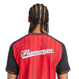 Flamengo 2025/26 Special Edition Jersey - Fan Version