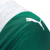 Palmeiras 2025/26 Away Jersey - Player Version