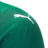 Palmeiras 2025/26 Home Jersey - Player Version