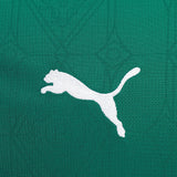 Palmeiras 2025/26 Home Jersey - Fan Version
