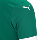 Palmeiras 2025/26 Home Jersey - Fan Version