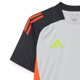 Benfica 2024/25 Training Jersey - Gray