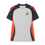 Benfica 2024/25 Training Jersey - Gray