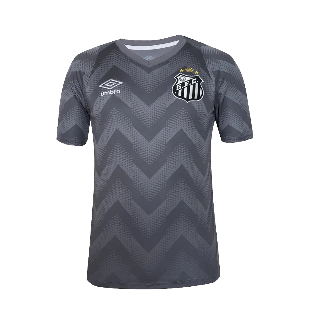 Santos 2024/25 Goalkeeper Jersey - Gray - Fan Version
