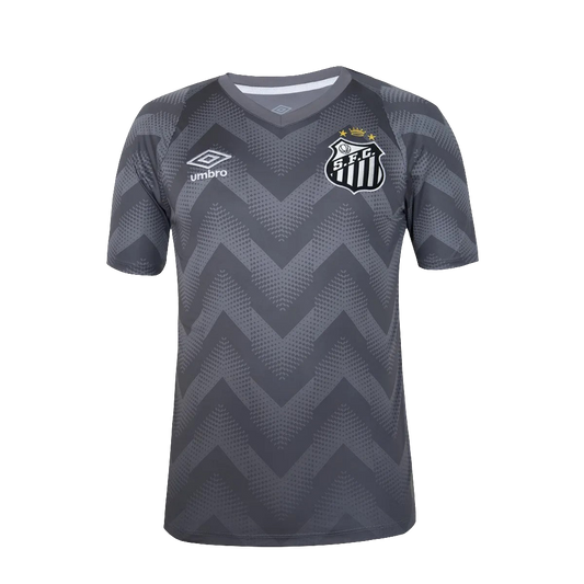 Santos 2024/25 Goalkeeper Jersey - Gray - Fan Version