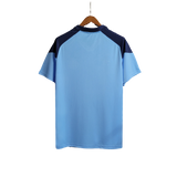 Grêmio 2023/24 Training Jersey - Sky Blue - Fan Version
