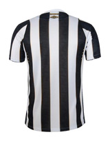 Santos 2024/25 Away Jersey - Fan Version