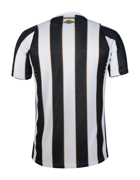 Santos 2024/25 Away Jersey - Fan Version