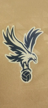 Crystal Palace Player Away Eagle Gold Jersey 2025/26