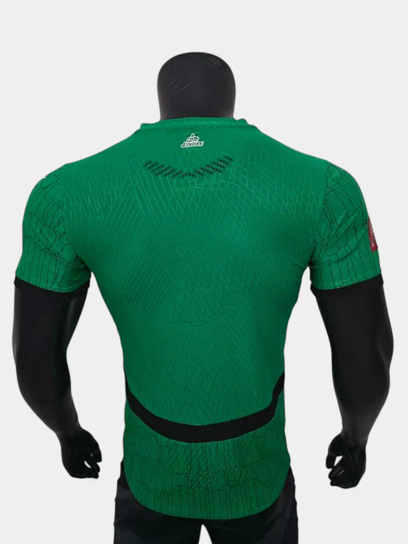 Ivory Coast World Cup 2026 Special Edition II Jersey - Player Version