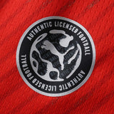 Switzerland World Cup 2026 Away Jersey