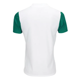 Palmeiras 2025/26 Away Jersey - Fan Version