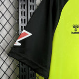 Real Betis 2024/25 Away Jersey