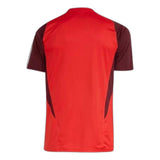 Internacional 2024/25 Training Jersey - Fan Version